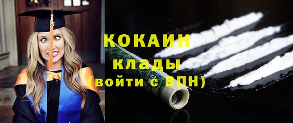 индика Зеленокумск