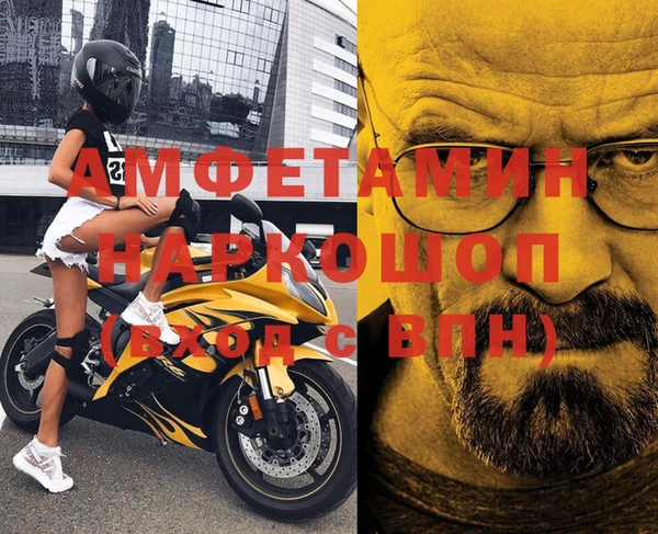 индика Зеленокумск
