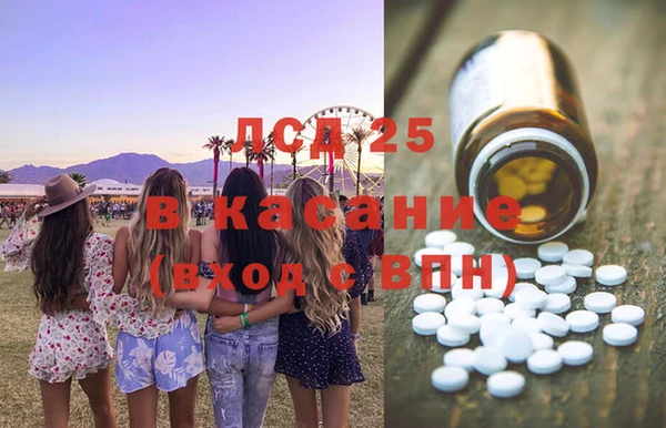 индика Зеленокумск