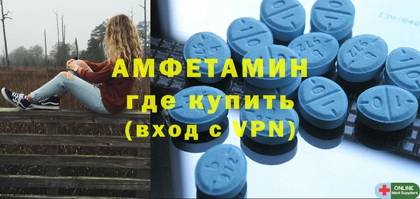 ГАЛЛЮЦИНОГЕННЫЕ ГРИБЫ Заволжье