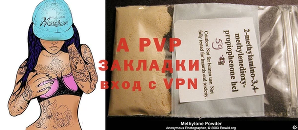 ГАЛЛЮЦИНОГЕННЫЕ ГРИБЫ Заволжье
