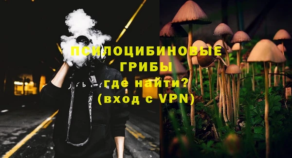 ГАЛЛЮЦИНОГЕННЫЕ ГРИБЫ Заволжье