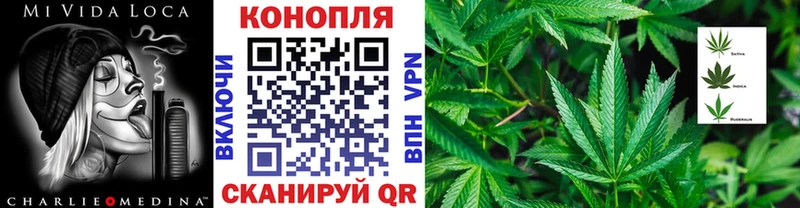 МАРИХУАНА сатива Звенигород