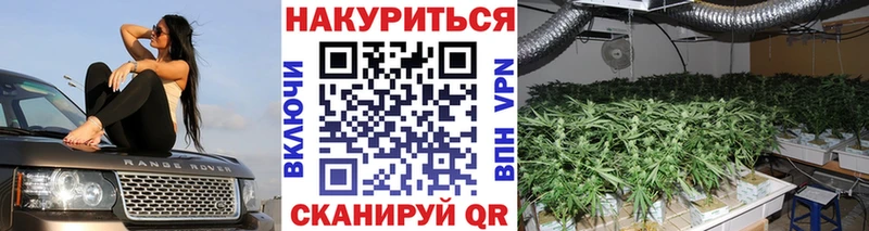 Купить закладки  Звенигород  Каннабис сатива 